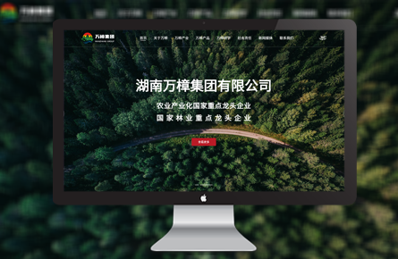 營銷網(wǎng)站案例-湖南萬樟集團